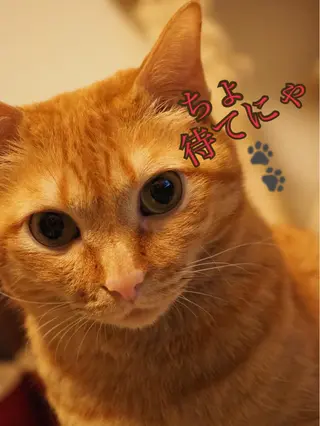 ネイル kiki nail 二子玉川のネイルデザイン