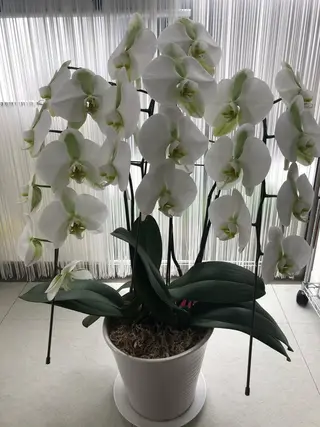 POLAエステインあい所属・POLA エステインあいのエステ・リラクイメージ