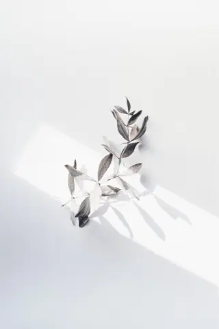 ネイル she nail studio所属・パラジェル/スカルプ salonOerbaのネイルデザイン