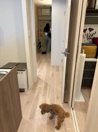 脱毛サロン RP（ルピ）のエステ・リラクイメージ