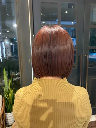 ショート 杉崎 朝佳のヘアスタイル