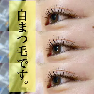 マツエク・マツパ nico所属・nico:) 金井 紗楽のマツエク・マツパデザイン