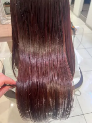 セミロング 🩰似合わせ艶カラー Kirara🐩🎀のヘアスタイル