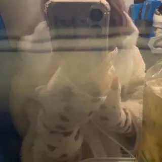 アイブロウ専門サロン　エサージュ　川崎店所属・マツエクモデル様 募集中🎀katoのマツエク・マツパデザイン