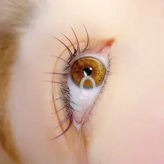 マツエク・マツパ PETALE所属・PETALE ペタルのマツエク・マツパデザイン