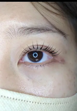 マツエク・マツパ STEEL所属・【STEEL池袋】 🌈MASHIMAのマツエク・マツパデザイン