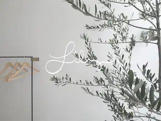 マツエク・マツパ Lily Tamaplazaのマツエク・マツパデザイン