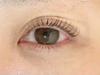 マツエク・マツパ KIMOTO 🐈‍⬛🤍のマツエク・マツパデザイン