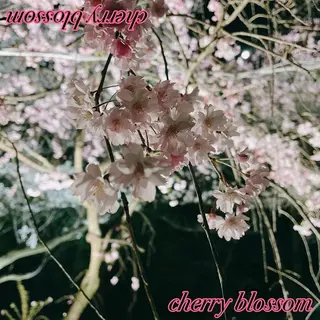 マツエク・マツパ sara 荒井店のヘアスタイル