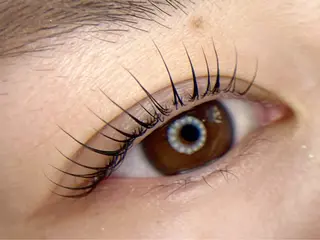 マツエク・マツパ tomte トムテのマツエク・マツパデザイン