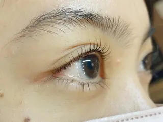 マツエク・マツパ Cherry's Lash 志木店のマツエク・マツパデザイン