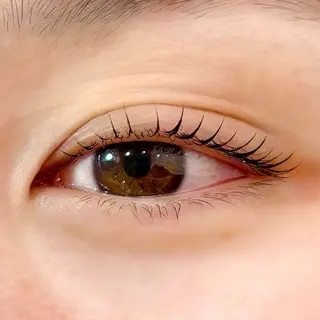 マツエク・マツパ Shelly Garden所属・kana🎀まつぱ/ ハーブピーリングの眉毛・アイブロウイメージ