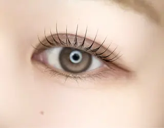 マツエク・マツパ eyelist. mizuki🐈‍⬛のマツエク・マツパデザイン