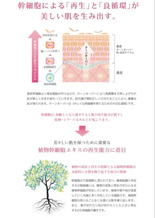 ビューティーサロン Claireのエステ・リラクイメージ