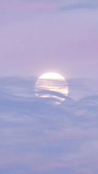 ∴Sanae. ∴ トータルビューティーのマツエク・マツパデザイン