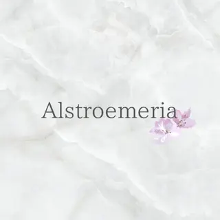 宮本 紗衣のエステ・リラクイメージ