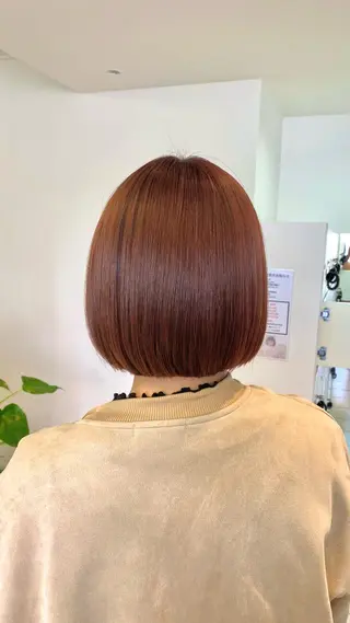 カラー 韓国ヘア・カラー 🩵SHIZUKUのヘアスタイル