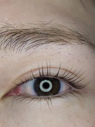 マツエク・マツパ Stella  Lashのマツエク・マツパデザイン