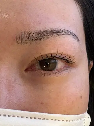 マツエク・マツパ 🐈EYELA ⟡.· Aya🐱のマツエク・マツパデザイン