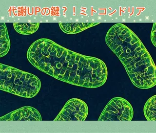 ショート ‍痩身＆ボディ 結果出し🌟丹野のエステ・リラクイメージ