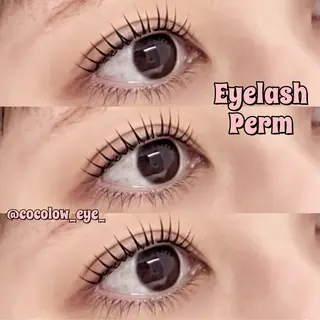 マツエク・マツパ DL•BEAUTY / COCOLOのマツエク・マツパデザイン