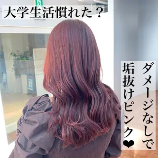 セミロング レイヤー/ショート カット/服部タカノリのヘアスタイル