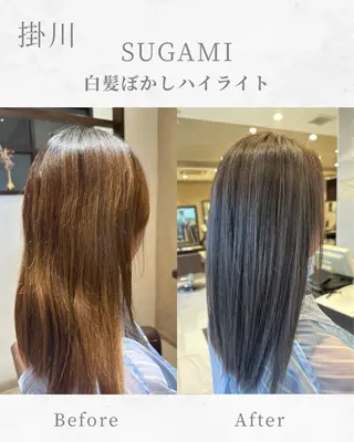 ロング カラー SUGAMI ✴︎ Hikariのヘアスタイル