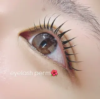 マツエク・マツパ eye 梨花のマツエク・マツパデザイン