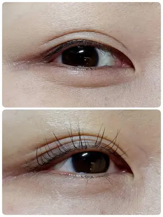 マツエク・マツパ ehl:fa Beautyのマツエク・マツパデザイン