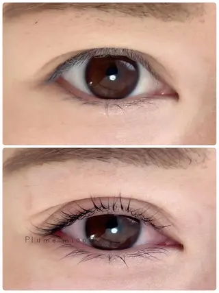 マツエク・マツパ Plume micoのマツエク・マツパデザイン