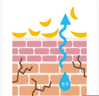CPサロン　アルファカンパニー　本店所属・CPサロン本店 吉冨のエステ・リラクイメージ