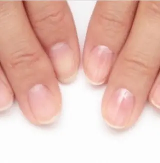 ネイル Noah'snail   のネイルデザイン