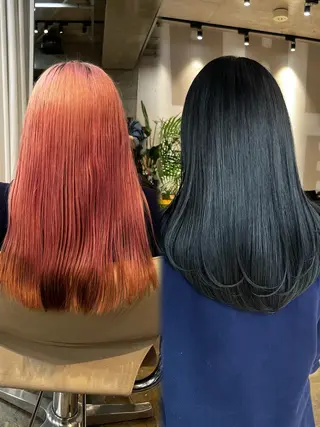 カラー ウルフとデザイン カラーの神のヘアスタイル