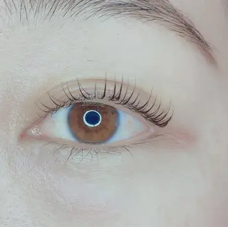 マツエク・マツパ TIARA池袋西口店 店長YASUKA💐のマツエク・マツパデザイン