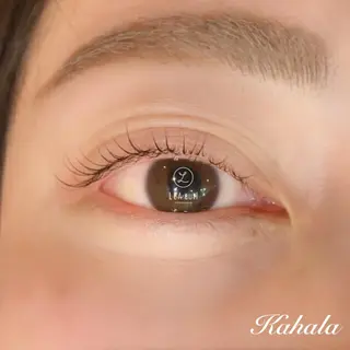 マツエク・マツパ Fujimoto 🦭⸝⋆꙳のマツエク・マツパデザイン