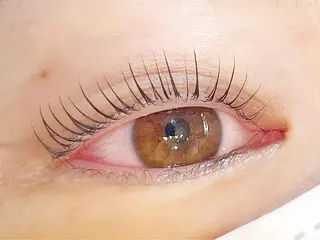 マツエク・マツパ pour voursのマツエク・マツパデザイン