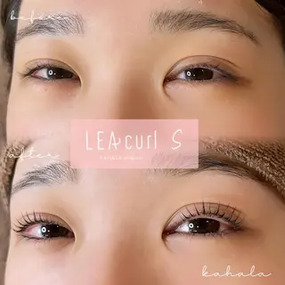 マツエク・マツパ Fujimoto 🦭⸝⋆꙳のマツエク・マツパデザイン