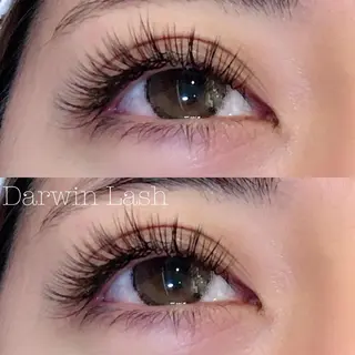 マツエク・マツパ まつげと眉毛のお店Sakura Lash【サクララッシュ】所属・【ダメージケア特化】 🌸 サクララッシュの眉毛・アイブロウイメージ