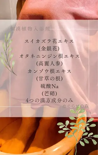 めぐらせの 森のその他イメージ