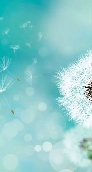 🫧艶髪/透明感色 🫧河原町💛MOEのヘアスタイル