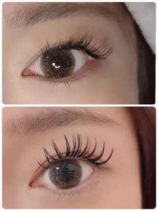 マツエク・マツパ Anela柏店🌷 Hikari🌷のマツエク・マツパデザイン