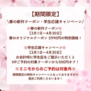 ネイル WISTERIA hayamiのネイルデザイン