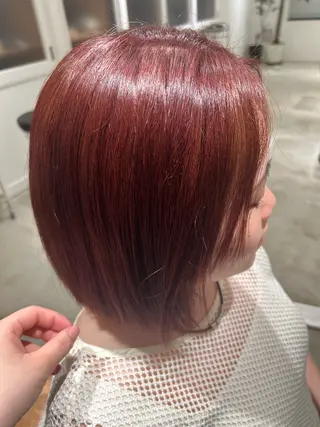 ショート カラー 坂本 愛莉のヘアスタイル