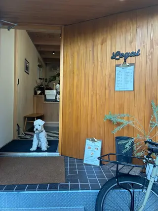 GO TODAY SHAiRE SALON Vellmie店所属・吉祥寺kasumi 🌛eye/browのマツエク・マツパデザイン