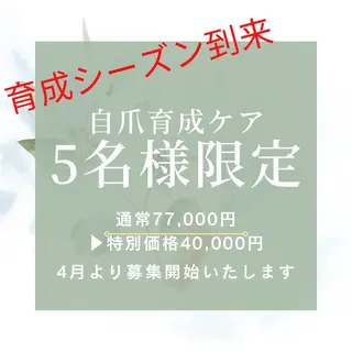 ネイル ネイルケアサロン Campanulaのネイルデザイン