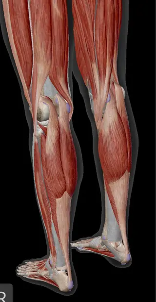 【鍼灸サロン　にった】所属・はりきゅう整体 新田鍼灸院のエステ・リラクイメージ