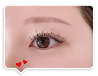 ใใใจใฏใปใใใ .ula ๐จ๐๐๐๐ใฎใใใจใฏใปใใใใใถใคใณ