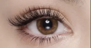 マツエク・マツパ 村岡 恵理の眉毛・アイブロウイメージ