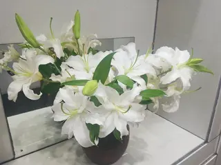 angelux 所属・完全個室サロン🌹 angelux🌹のマツエク・マツパデザイン