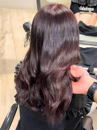 セミロング Euphoria新宿店所属・新宿/透明感カラー 縮毛矯正/SHOKIのヘアスタイル